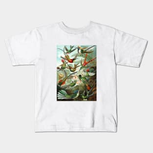 Ernst Haeckel Hummingbirds Kids T-Shirt